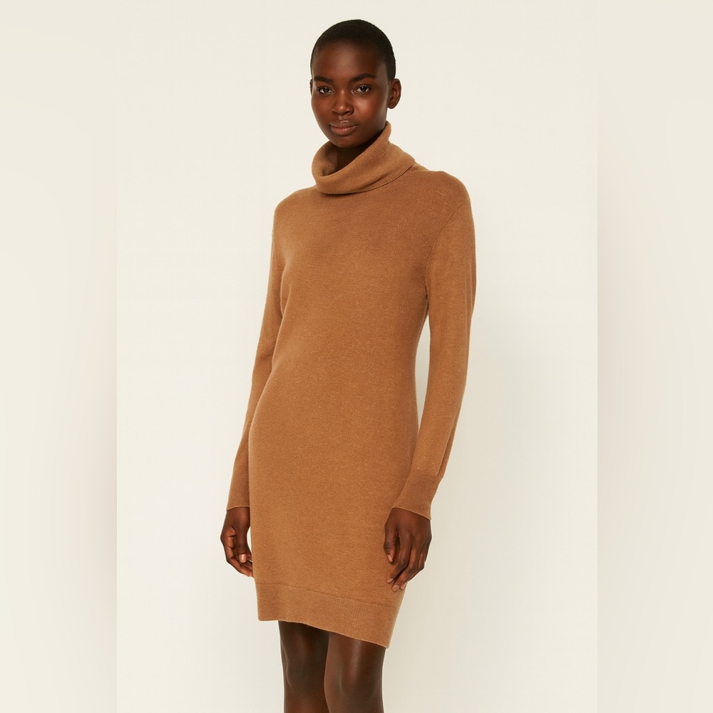 Aritzia BabatonTurtleneck Sweater Dress
